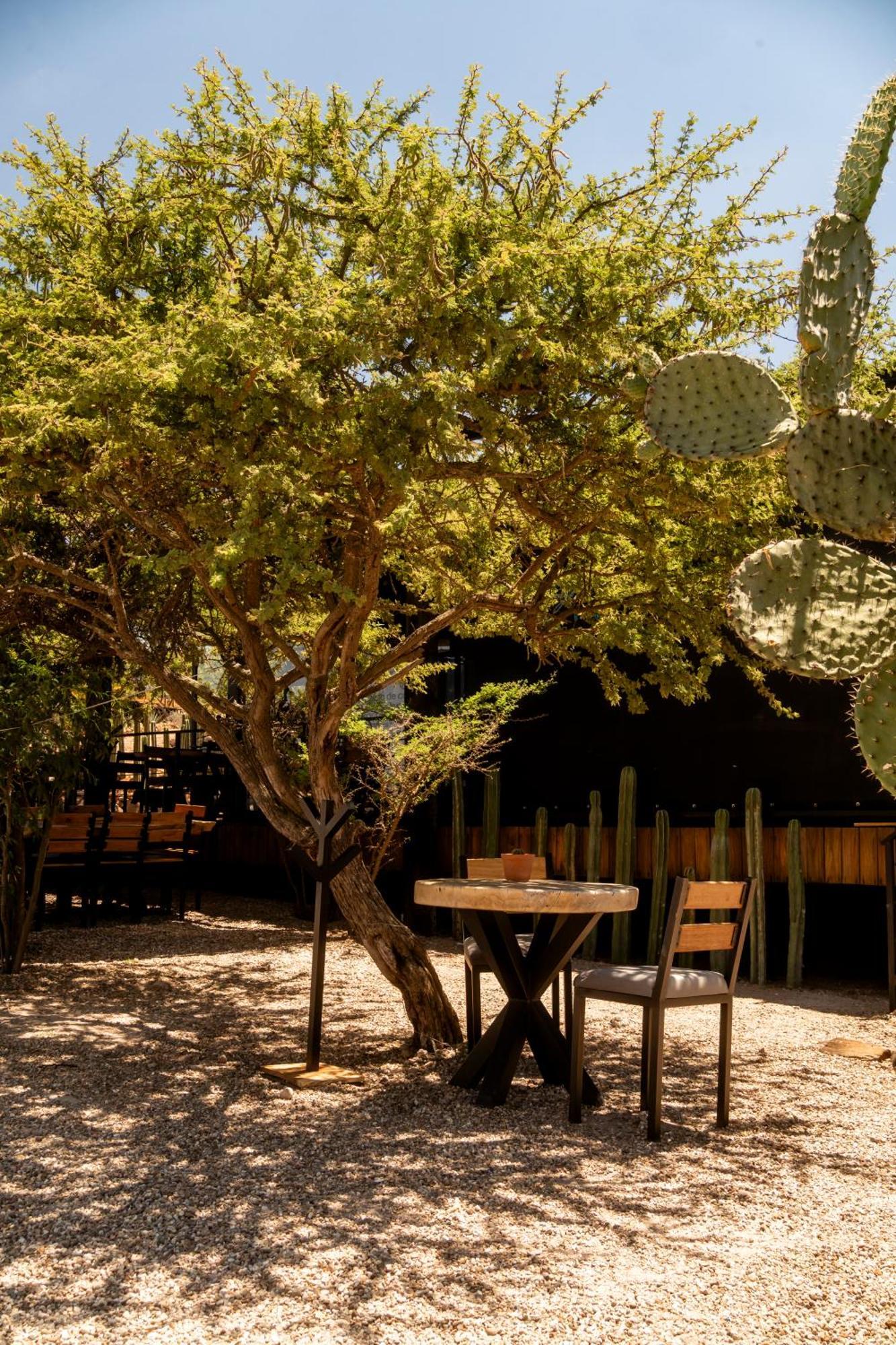 Hotel Coyote Alcocer Exterior foto
